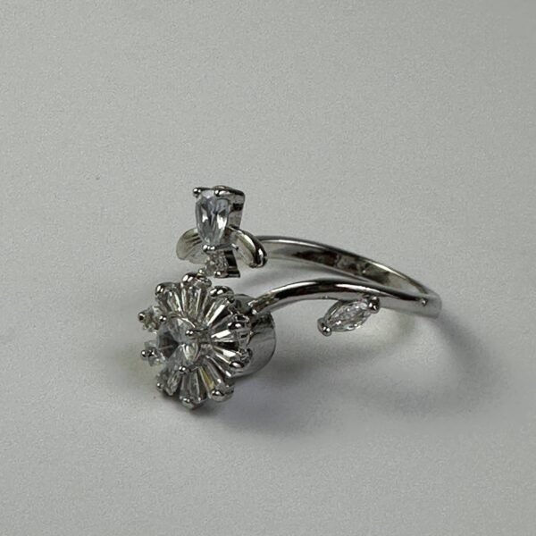 Ring 09 - Image 5