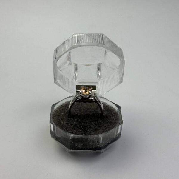 Ring 01 - Image 7