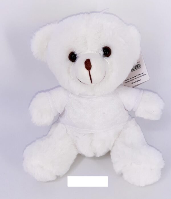 Teddy Bear in Shirt - Image 3