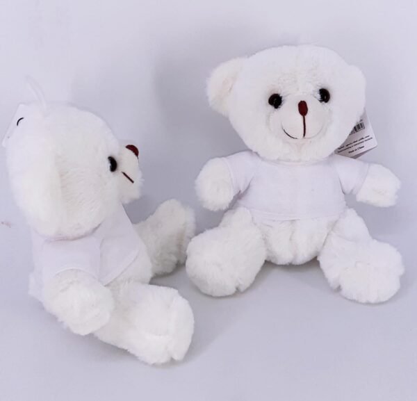 Teddy Bear in Shirt - Image 2